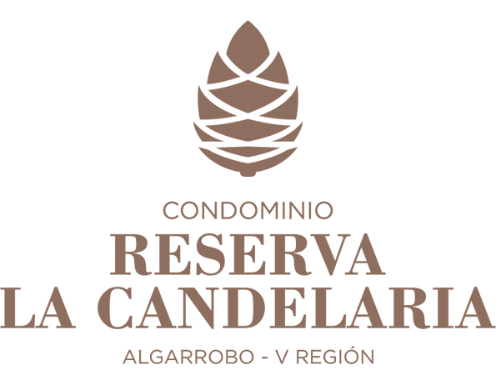 Diseño sin título - 2022-06-27T172902.890